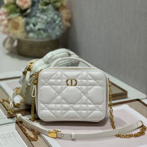 dior cream leather caro box bag?