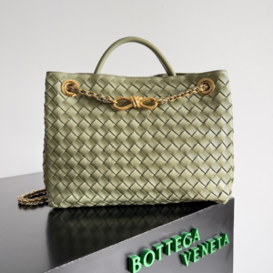 bottega veneta khaki small andiamo bag 7.webp