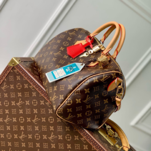 lv speedy soft crafty monogram boho