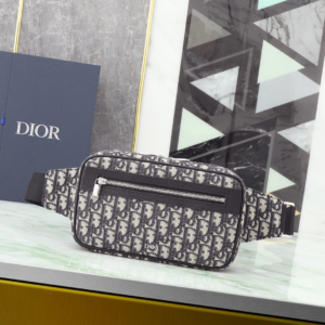 dior oblique buckle rectangle belt bag